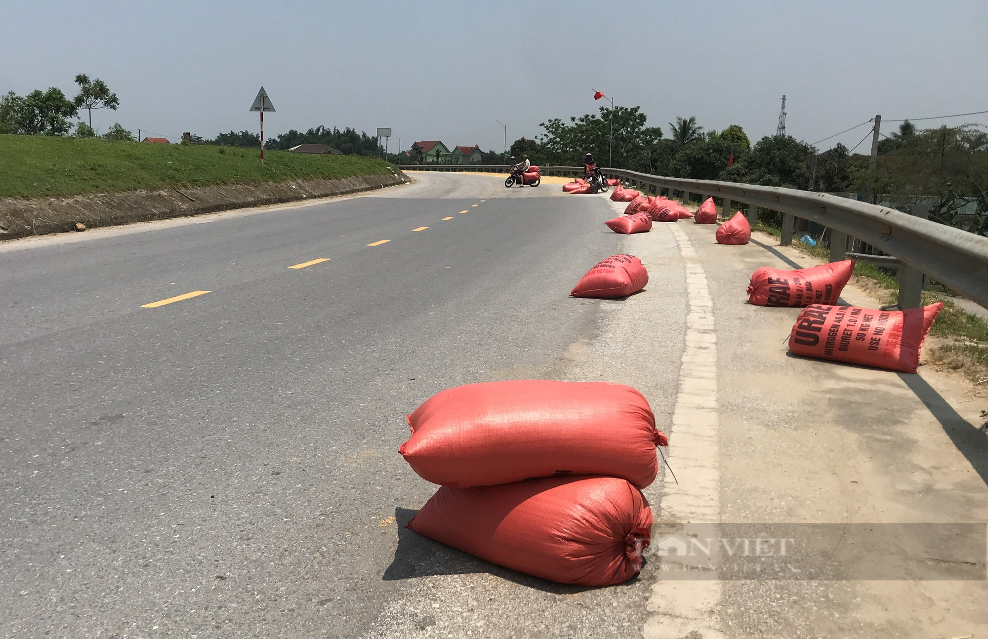 Đánh cược với tính mạng, nông dân ra quốc lộ phơi nông sản giữa dòng phương tiện lao vun vút - Ảnh 8.
