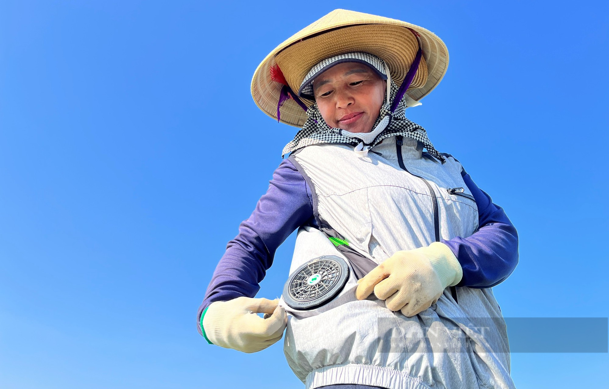 Nông dân mặc áo điều hòa, ra đồng giữa cái nắng như đổ lửa thu hoạch dưa hấu, dưa lê - Ảnh 2.