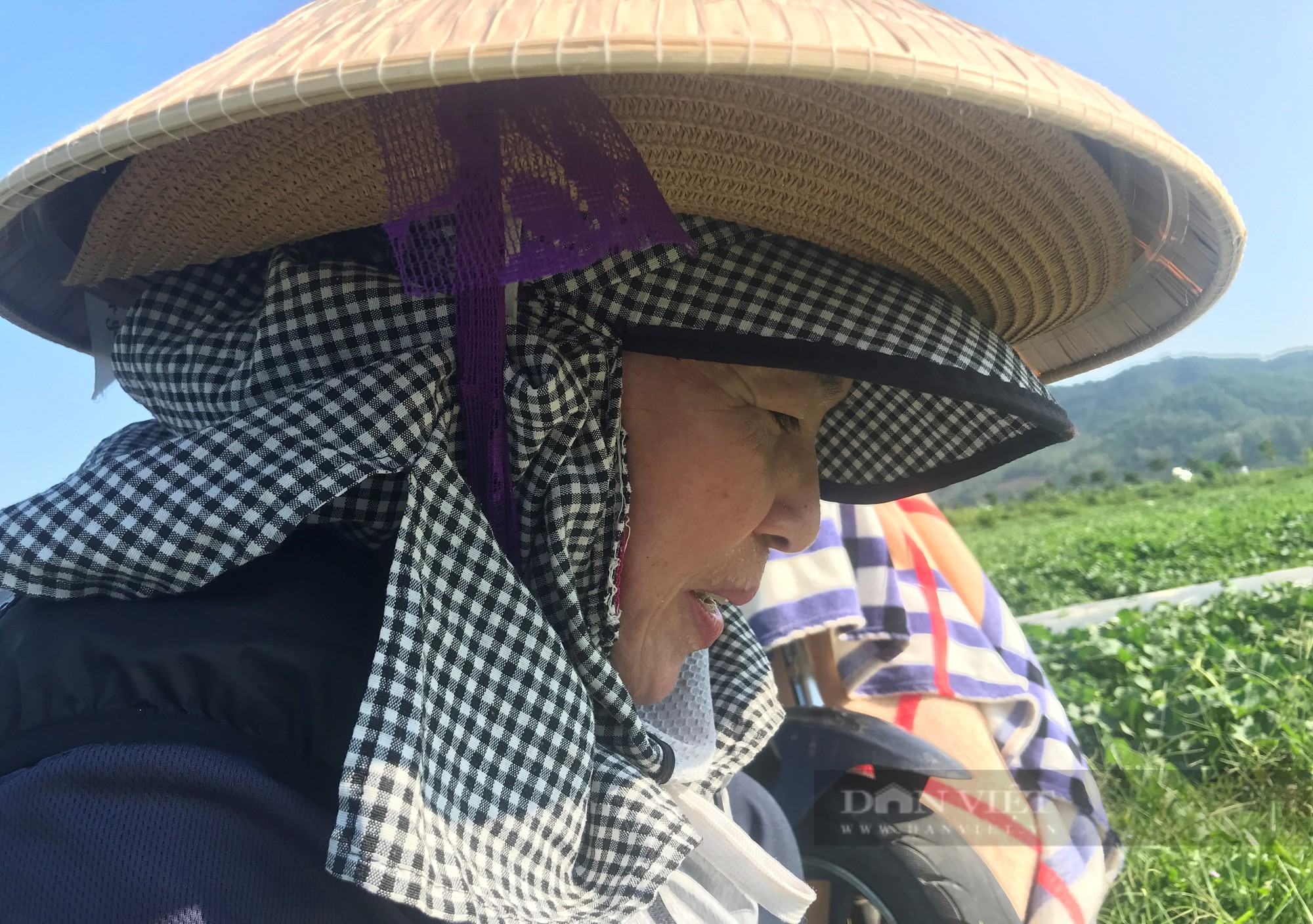 Nông dân mặc áo điều hòa, ra đồng giữa cái nắng như đổ lửa thu hoạch dưa hấu, dưa lê - Ảnh 8.