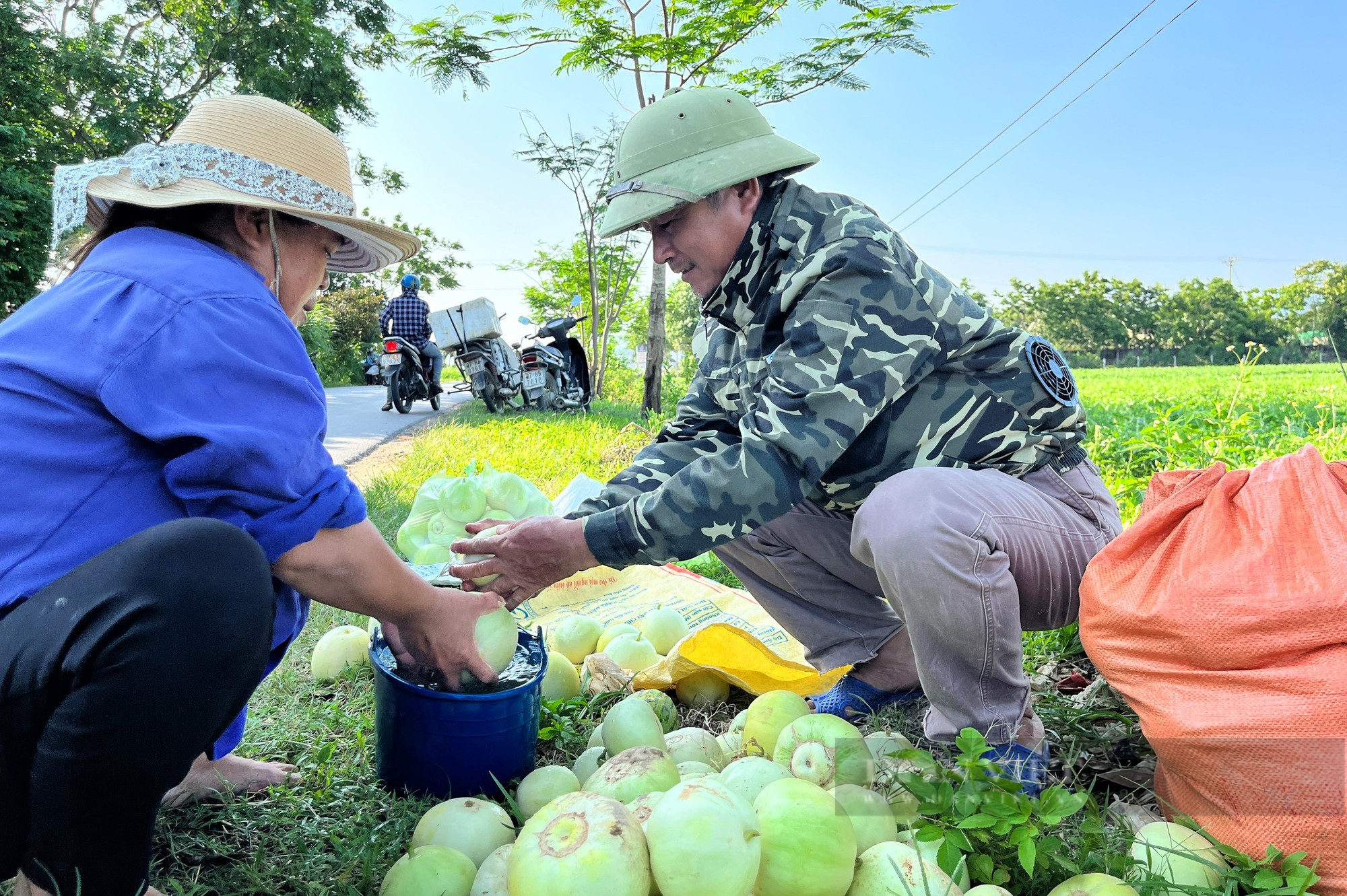 Nông dân mặc áo điều hòa, ra đồng giữa cái nắng như đổ lửa thu hoạch dưa hấu, dưa lê - Ảnh 9.