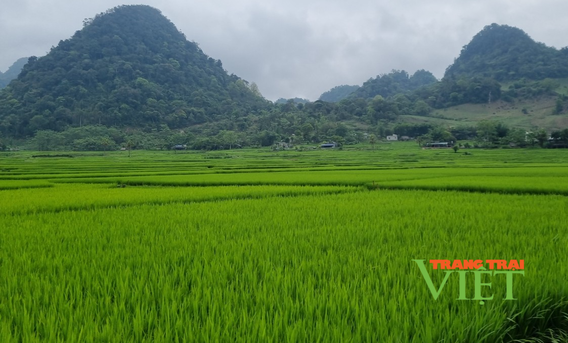 Yên Hòa "thay da, đổi thịt" nhờ nông thôn mới - Ảnh 1. Yên Hòa "thay da, đổi thịt" nhờ nông thôn mới - Ảnh 1.