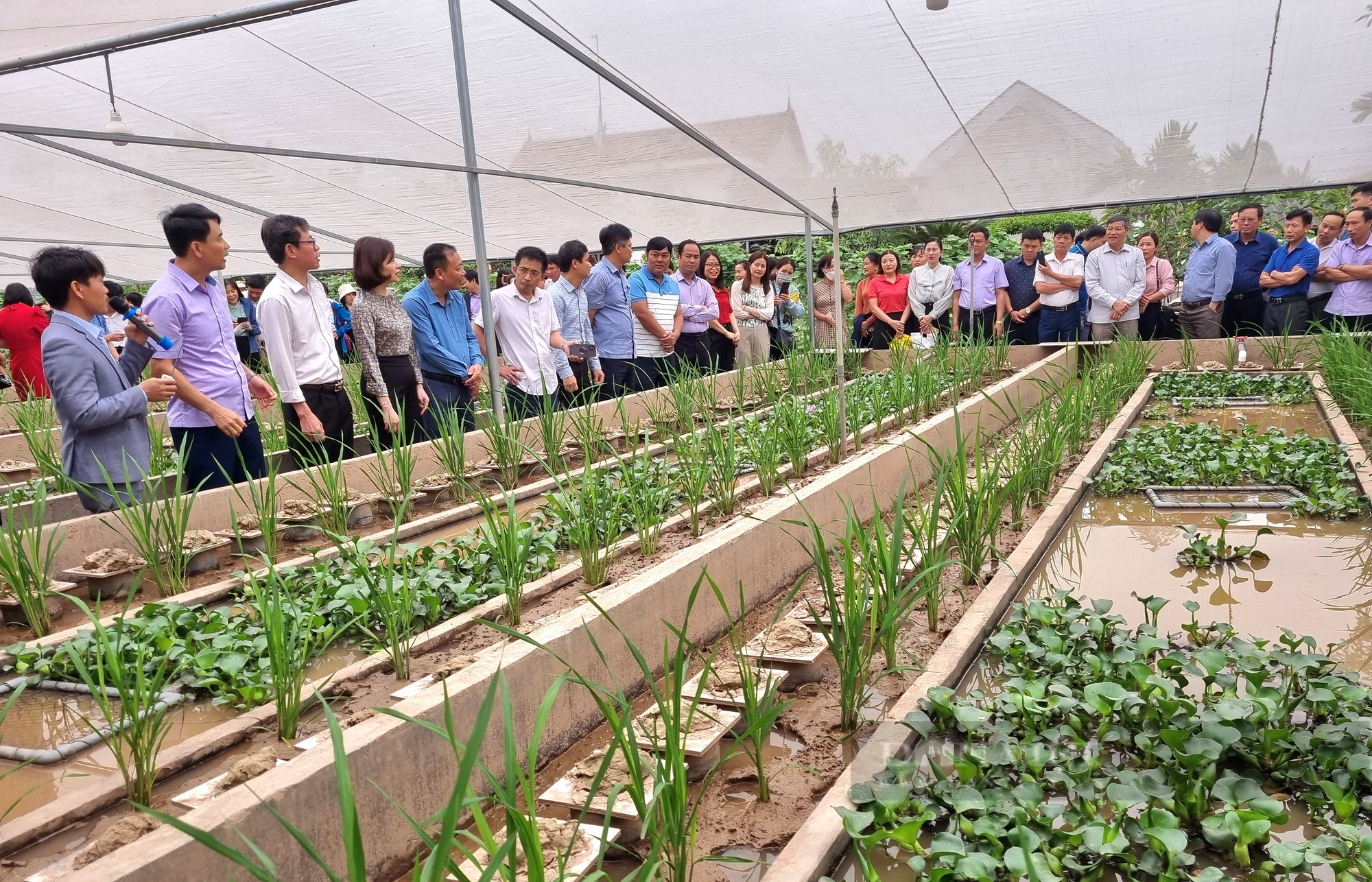 Hội Nông dân Ninh Bình tổ chức truyền thông xây dựng nông thôn mới - Ảnh 3.