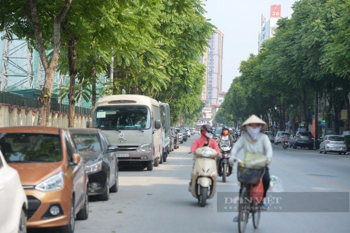 Tranh cãi loạt trụ đá trên vỉa hè để ngăn chặn ô tô dừng, đỗ ở Hà Nội - Ảnh 5.