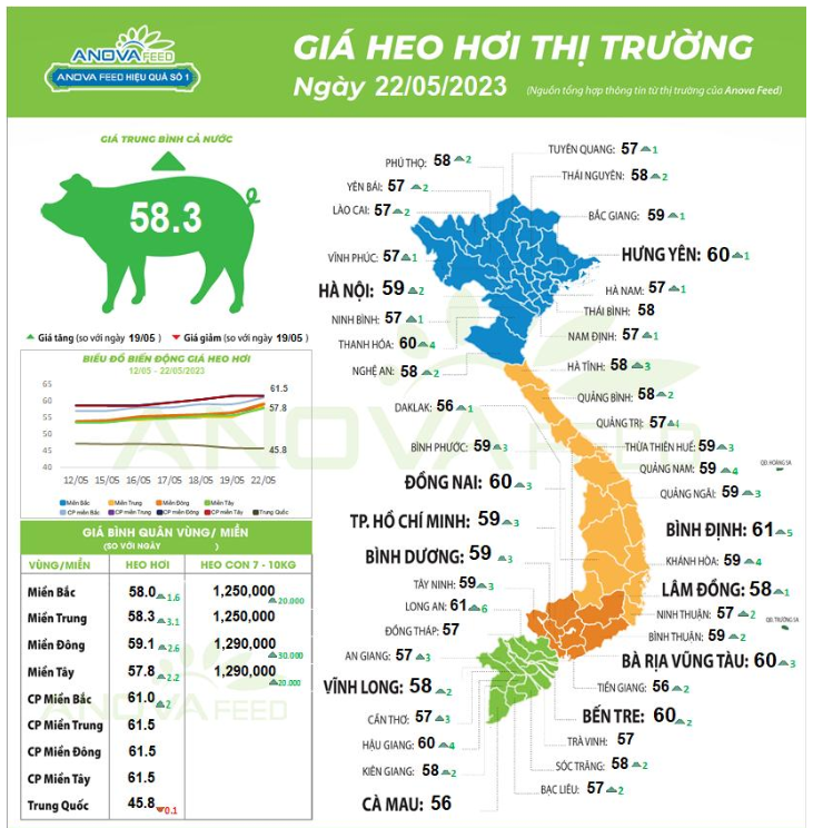 Giá lợn hơi tràn ngập sắc xanh, người chăn nuôi đầy hy vọng - Ảnh 1.