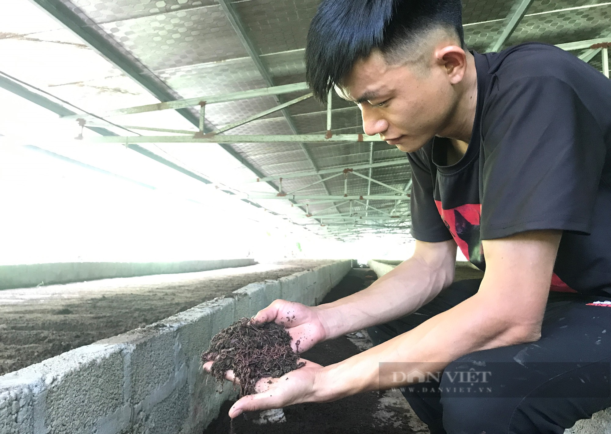 Chàng thợ điện dùng cách không ngờ để biến chất thải thành &quot;vàng đen&quot; mỗi năm thu về gần 1 tỷ đồng - Ảnh 6.
