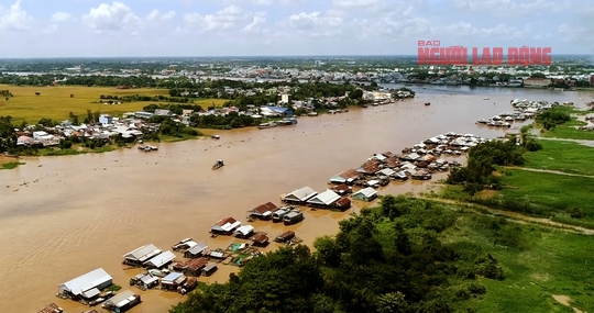 Sắp có làng bè độc nhất ở miền Tây - Ảnh 6.