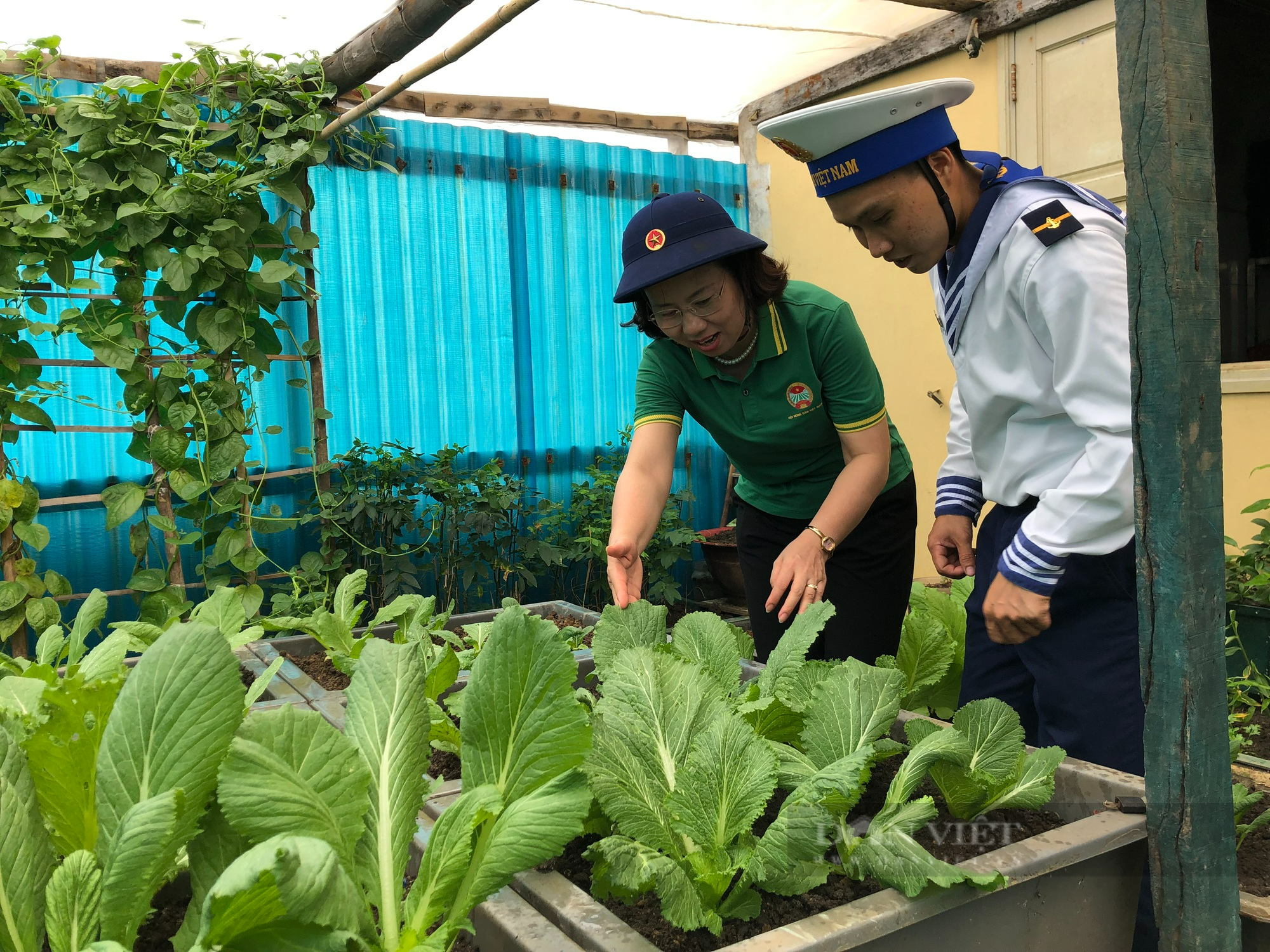 Đưa Trường Sa gần hơn với đất liền - Ảnh 8.