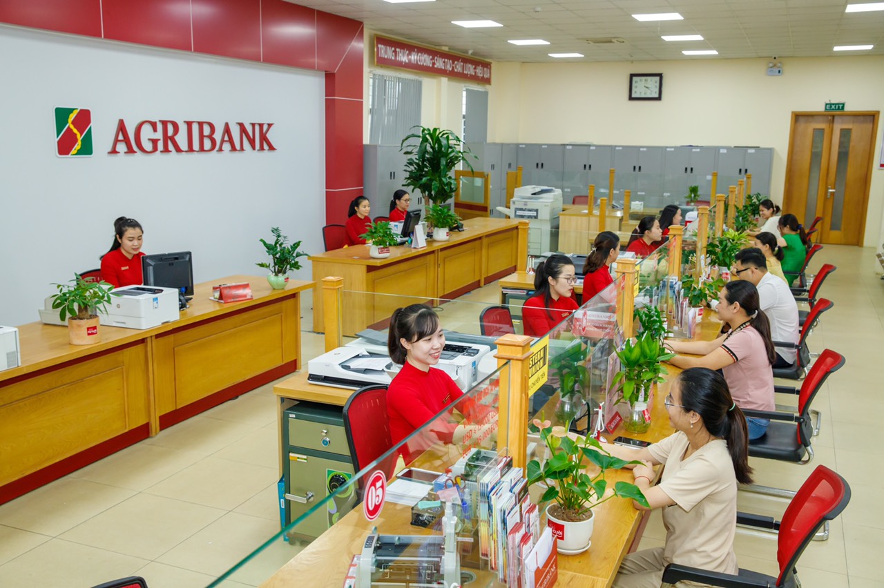 Vì sao phải bổ sung 17.100 tỷ đồng vốn điều lệ cho Agribank? - Ảnh 1.