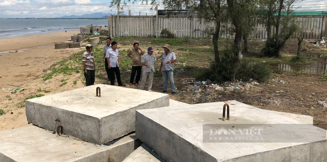 Ngư dân góp tiền xây &quot;túp lều vàng&quot; giữa biển cho cá ở (Bài 2): Hồi sinh những vùng &quot;biển chết&quot; - Ảnh 1.