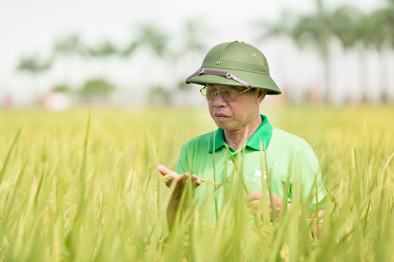 Chính thức khởi động giải thưởng Bông lúa vàng Việt Nam 2023, dự kiến trao tối đa 100 giải  - Ảnh 1.