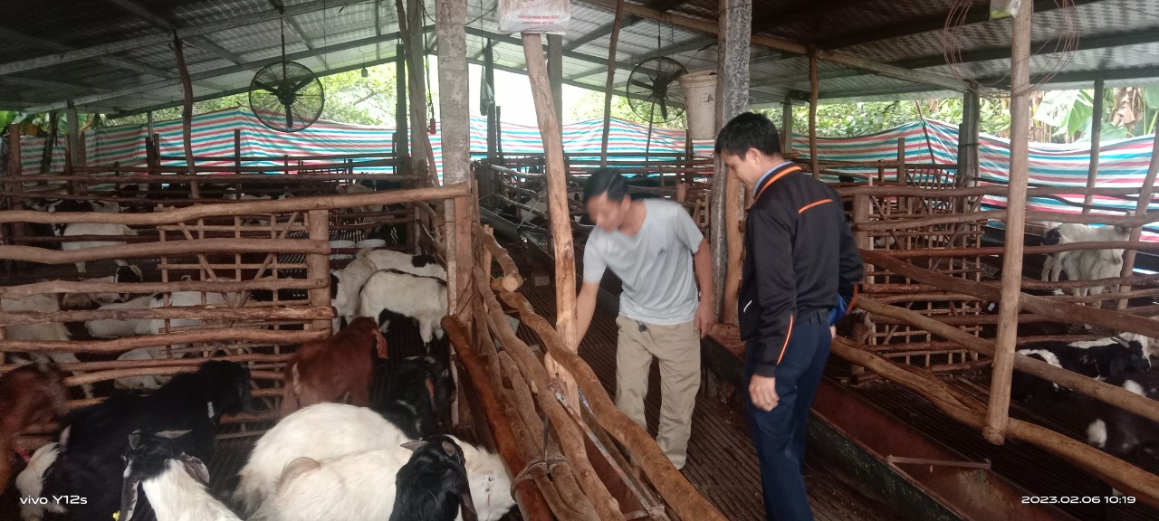 Nuôi vỗ béo loại con đặc sản, một ông nông dân Bắc Giang thu 200 triệu/lứa - Ảnh 1.