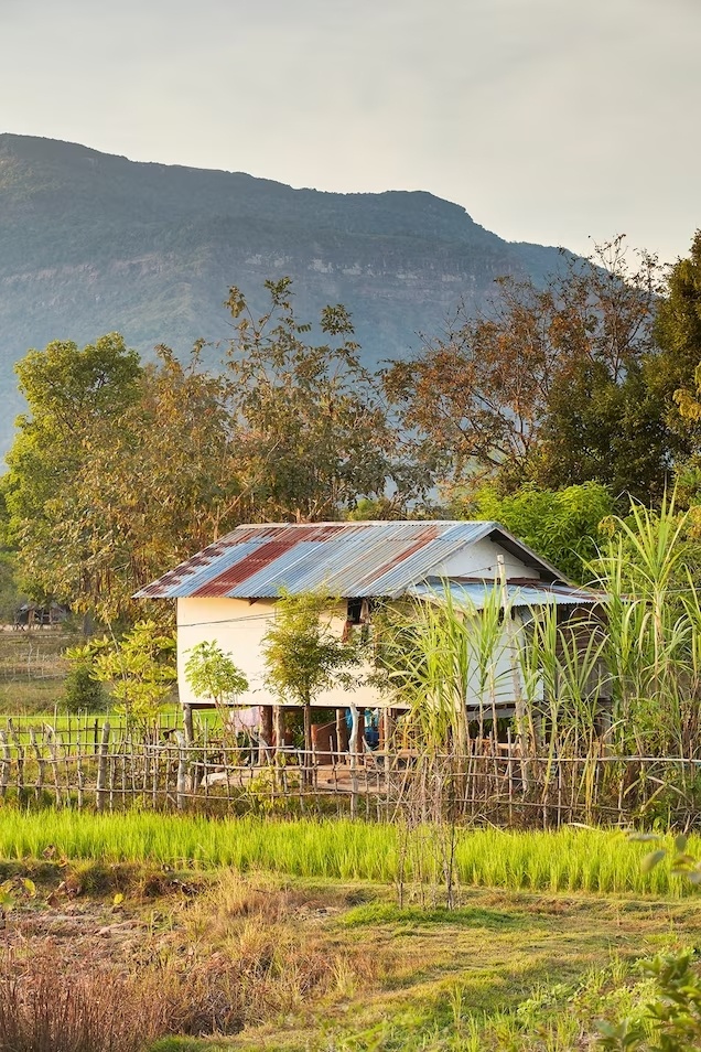 Cuộc sống bên bờ sông Mekong ở Lào đẹp và bình dị đến bất ngờ - Ảnh 6.