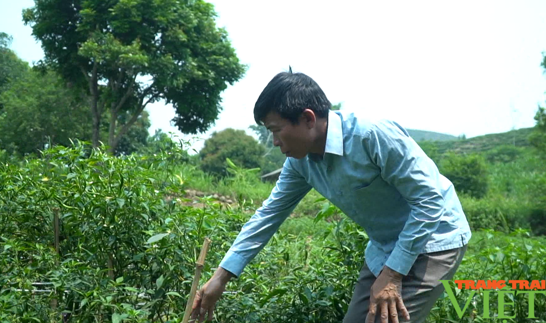 Giao thông được làm mới, nông dân thay đổi phương thức sản xuất, bản làng ở Mường Khoa thêm trù phú - Ảnh 5. Giao thông được làm mới, nông dân thay đổi phương thức sản xuất, bản làng ở Mường Khoa thêm trù phú - Ảnh 5.