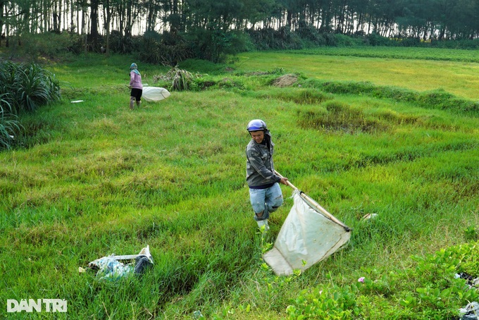 Hai vợ chồng 2 vợt, vượt 150km săn "giặc cỏ" kiếm tiền triệu - Ảnh 1. Hai vợ chồng 2 vợt, vượt 150km săn "giặc cỏ" kiếm tiền triệu - Ảnh 1.