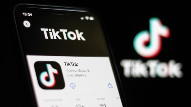 TikTok thử nghiệm chatbot AI để tương tác với người dùng   - Ảnh 1.