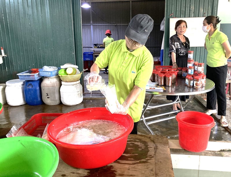 Sản phẩm OCOP từ biển  - Ảnh 1.