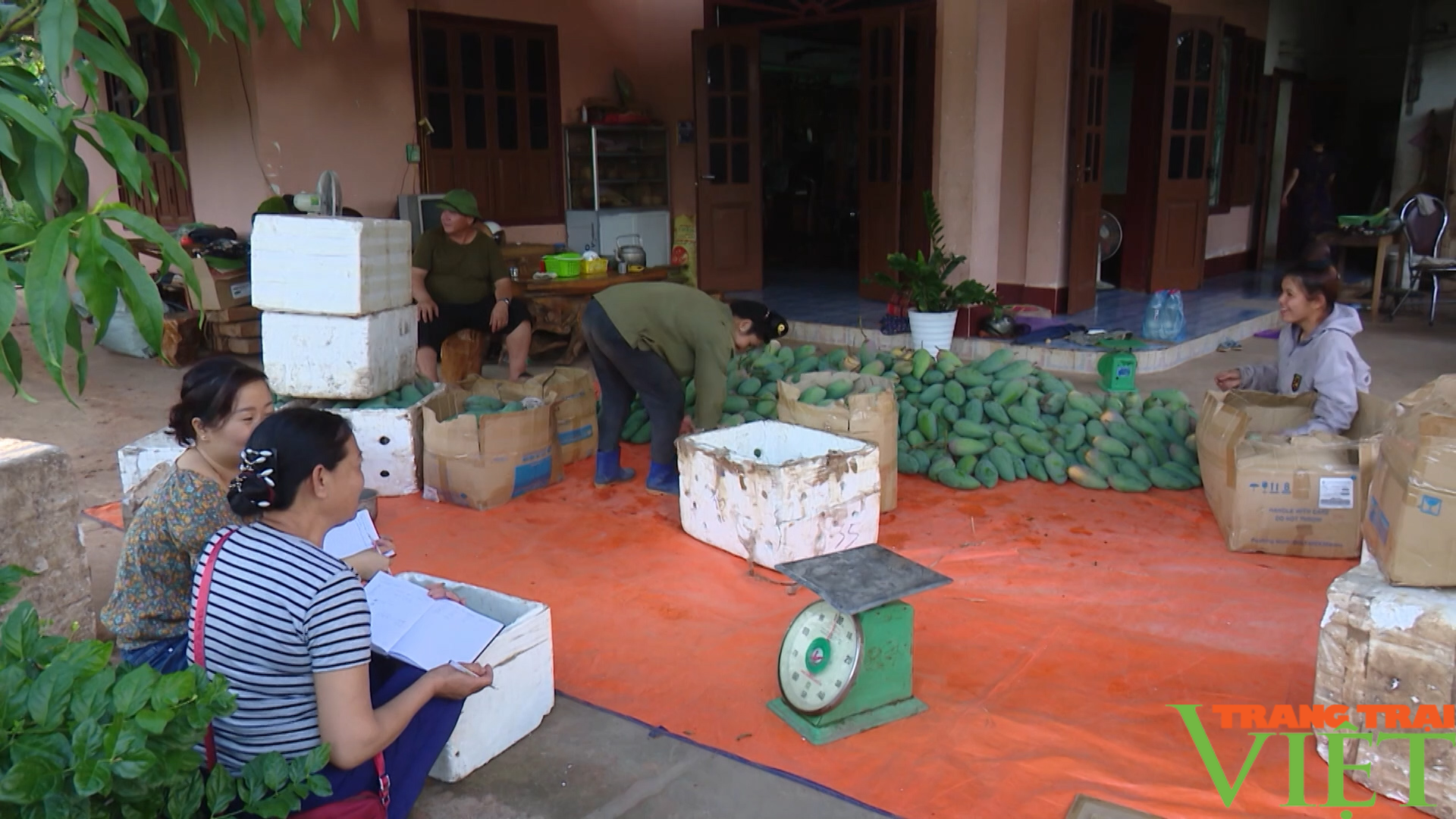 Nhiều giải pháp phát triển thương mại điện tử bền vững ở tỉnh miền núi Sơn La - Ảnh 3. Nhiều giải pháp phát triển thương mại điện tử bền vững ở tỉnh miền núi Sơn La - Ảnh 3.