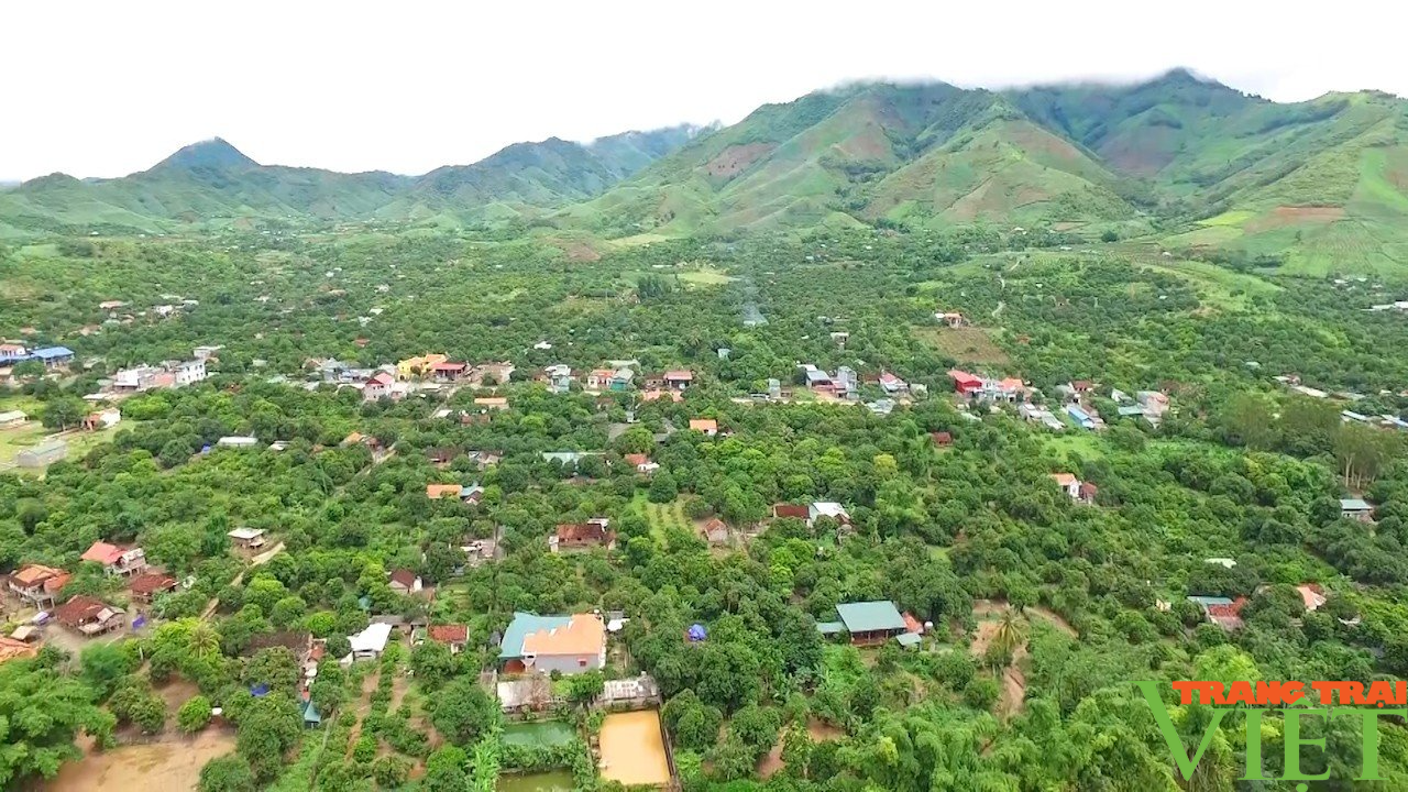 Nông dân vùng biên Sơn La tích cực phát triển kinh tế - Ảnh 1.