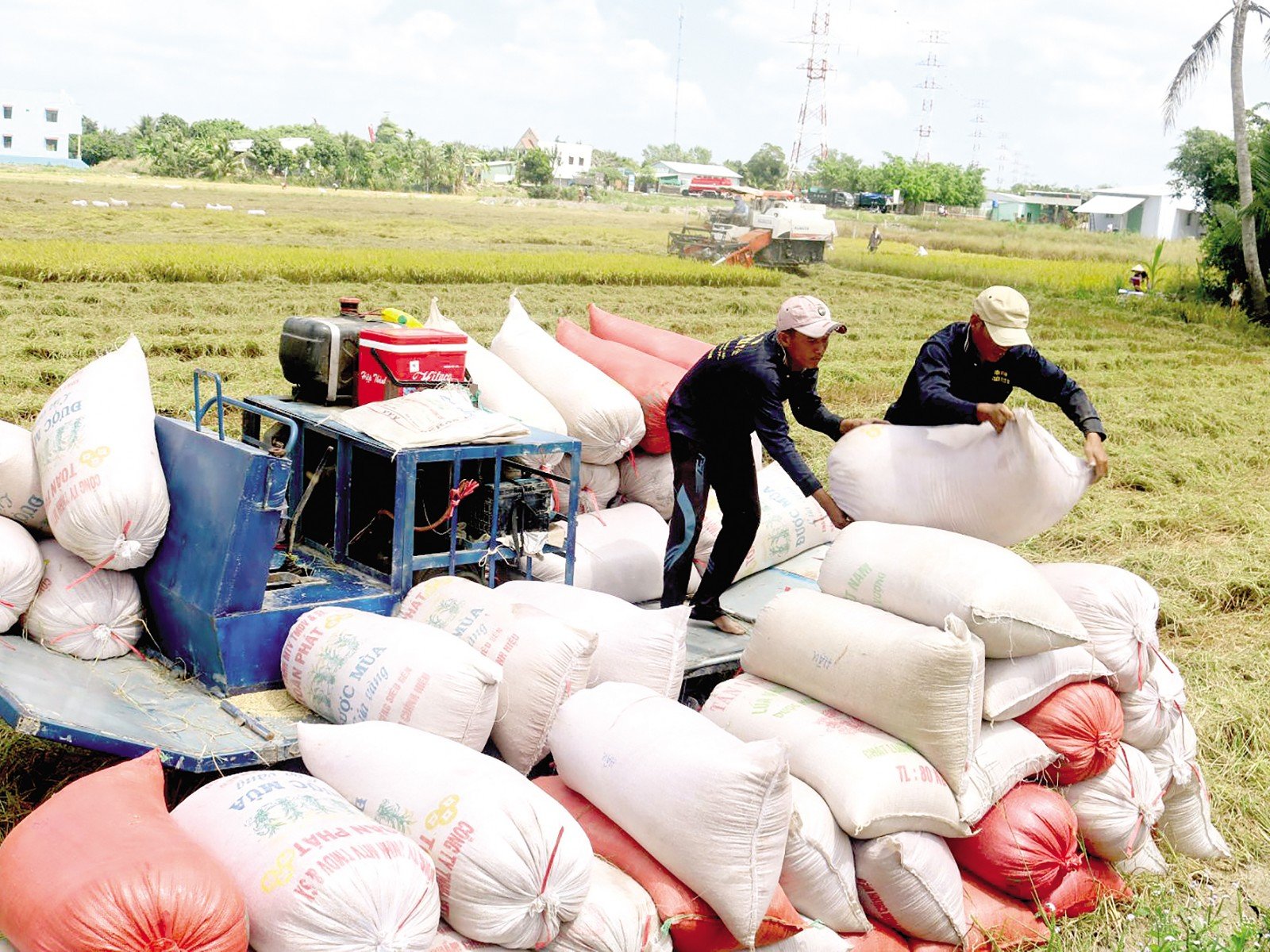 Phê duyệt Chiến lược phát triển thị trường xuất khẩu gạo của Việt Nam đến năm 2030 - Ảnh 1. Phê duyệt Chiến lược phát triển thị trường xuất khẩu gạo của Việt Nam đến năm 2030 - Ảnh 1.