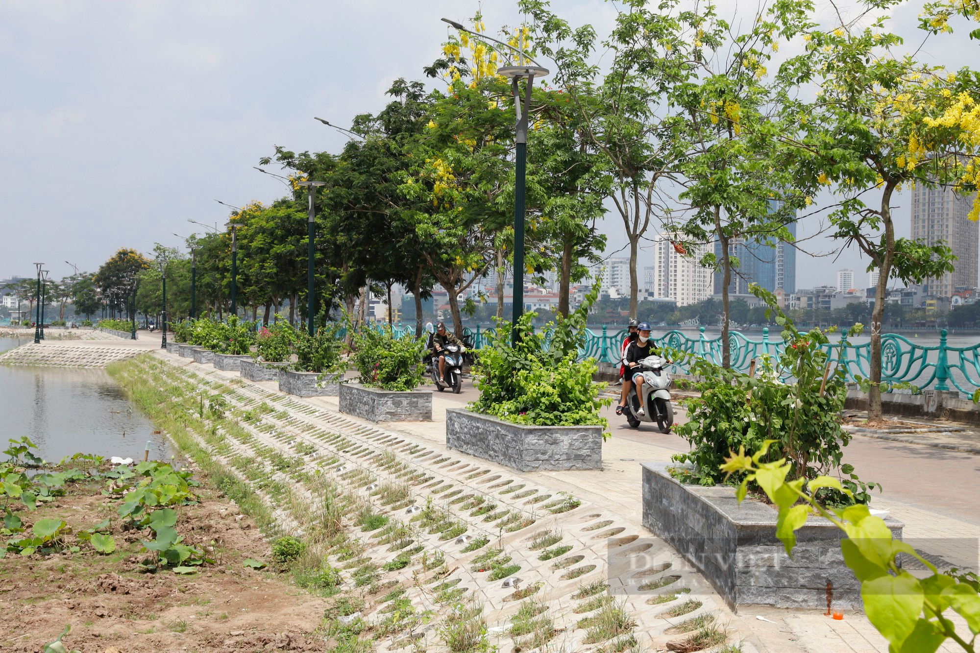 &quot;Con đường Hàn Quốc&quot; lãng mạn nhất hồ Tây bất ngờ thay đổi diện mạo - Ảnh 11.