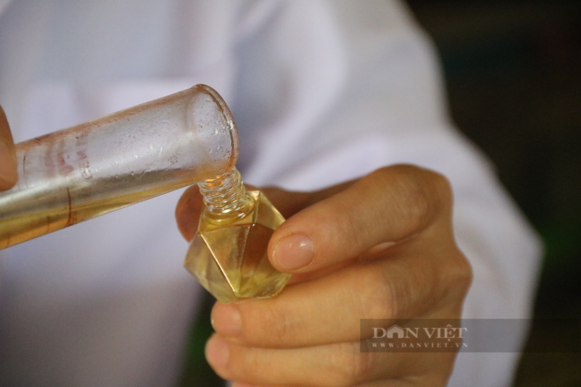 &quot;Bén duyên&quot; với công việc trồng sả lấy tinh dầu, trai 8X ở Gia Lai thu nhập ổn định mỗi năm - Ảnh 4.