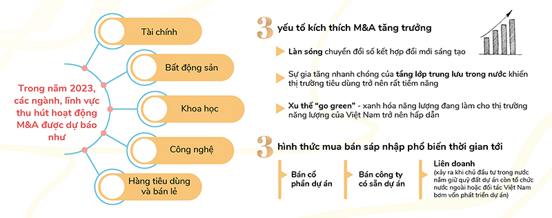 Doanh nghiệp “bán mình” giá nào: Hai mặt của M&A  - Ảnh 2.