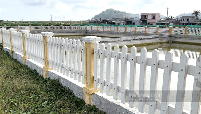 Quảng Ngãi 250 tỷ để hoá giải “cơn khát” nước ngọt cho đảo du lịch - Ảnh 10.