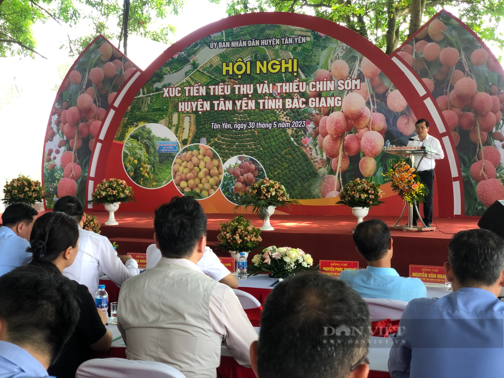Vải thiều chín sớm Tân Yên thơm ngọt, vị thanh, nhiều doanh nghiệp đến thu mua đem đi tiêu thụ - Ảnh 1.