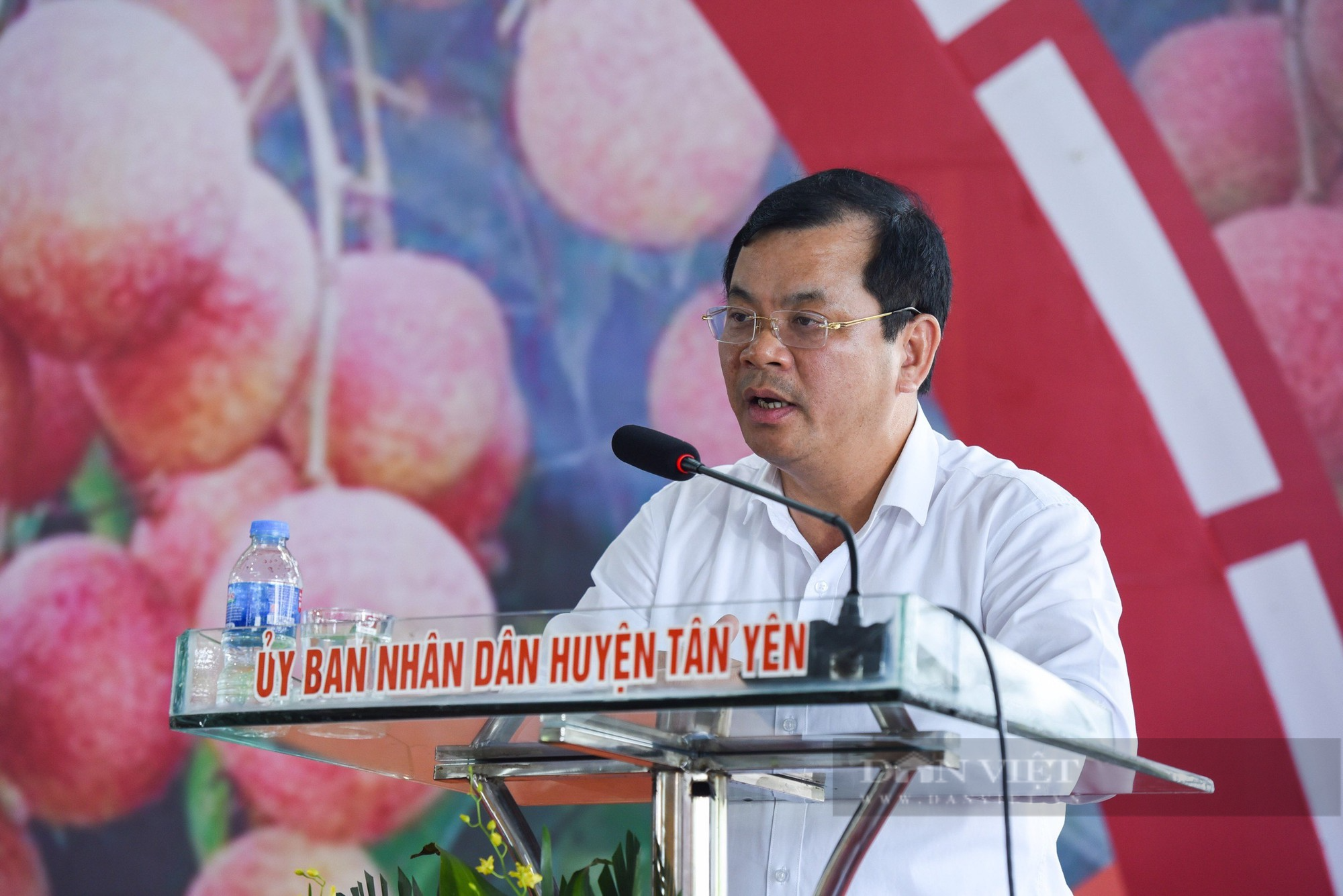 Vải thiều chín sớm Tân Yên thơm ngọt, vị thanh, nhiều doanh nghiệp đến thu mua đem đi tiêu thụ - Ảnh 6.