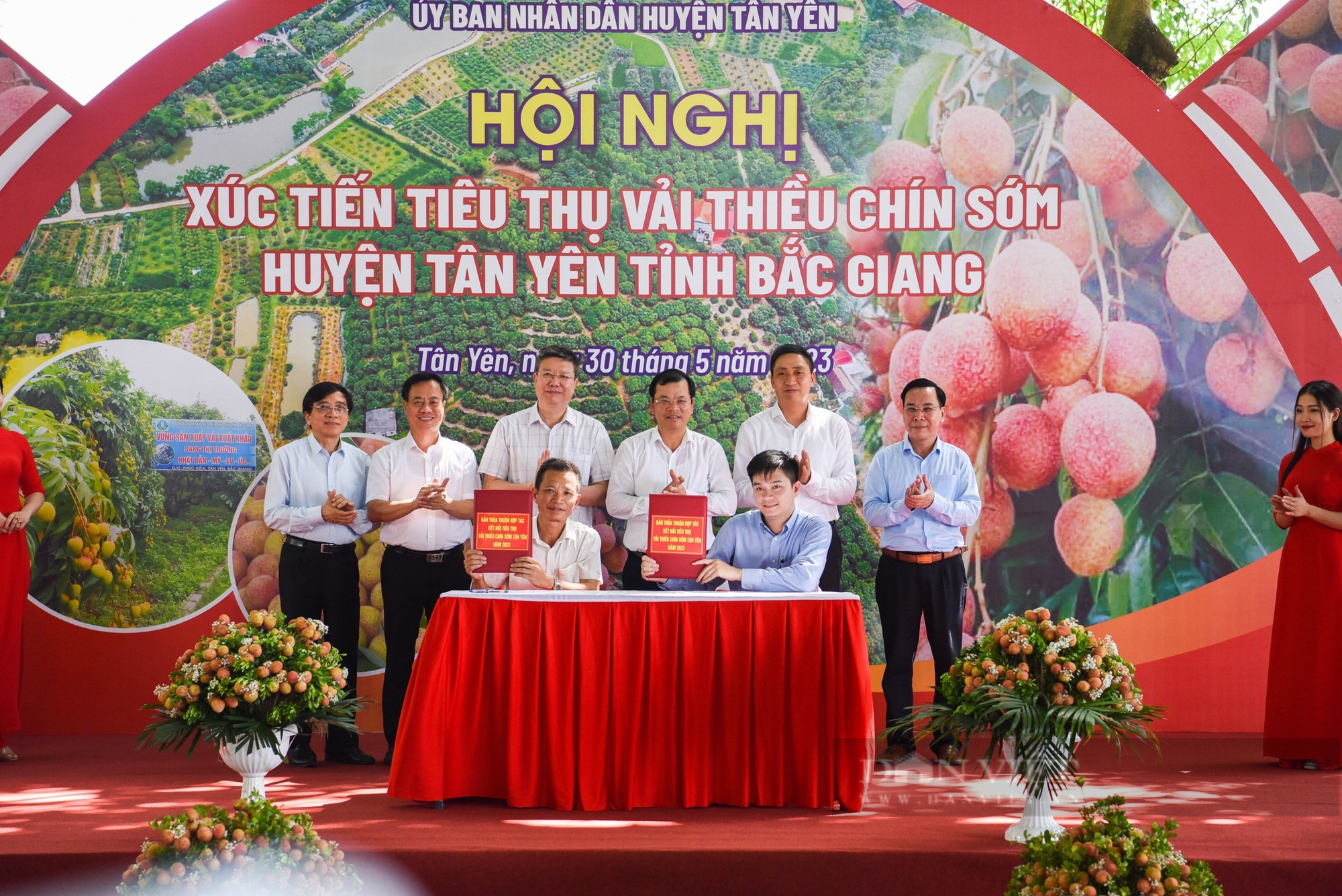 Vải thiều chín sớm Tân Yên thơm ngọt, vị thanh, nhiều doanh nghiệp đến thu mua đem đi tiêu thụ - Ảnh 7.
