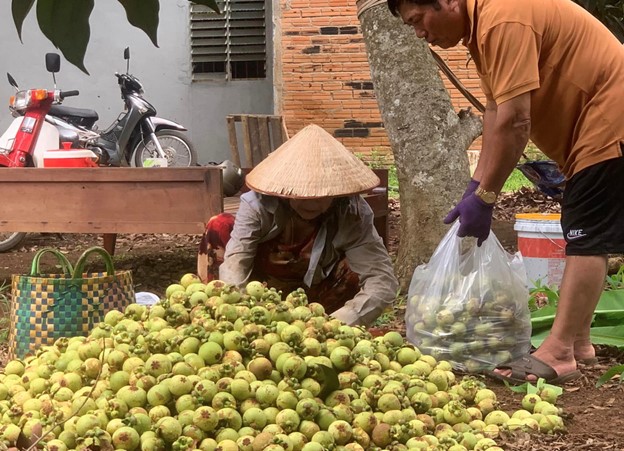 Sau cơn sốt làm gỏi gà, măng cụt bất ngờ hạ giá  - Ảnh 2.