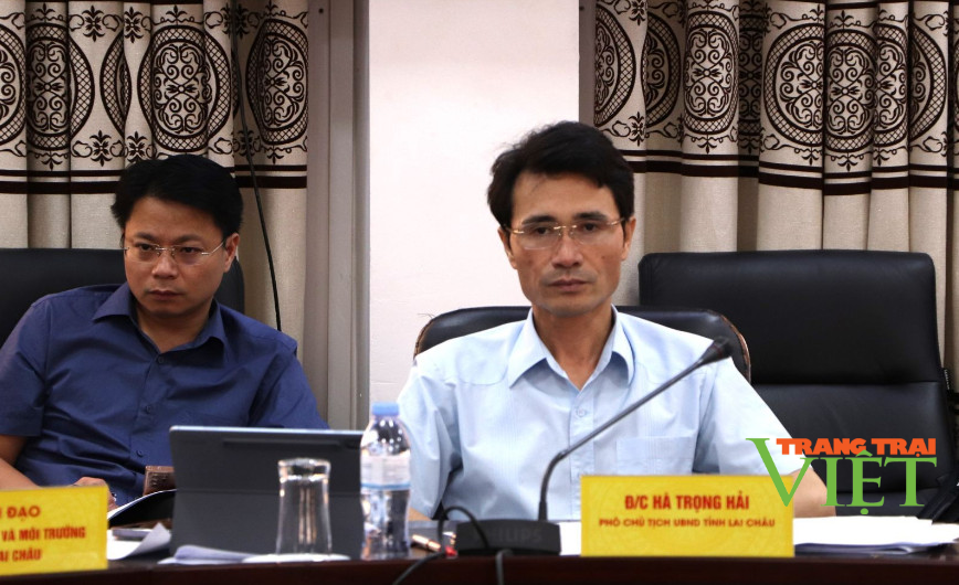 Tập đoàn PVW Resources Limited của Úc mong muốn hợp tác với Lai Châu trong lĩnh vực thăm dò, khai thác, chế biến khoáng sản - Ảnh 1. Tập đoàn PVW Resources Limited của Úc mong muốn hợp tác với Lai Châu trong lĩnh vực thăm dò, khai thác, chế biến khoáng sản - Ảnh 1.