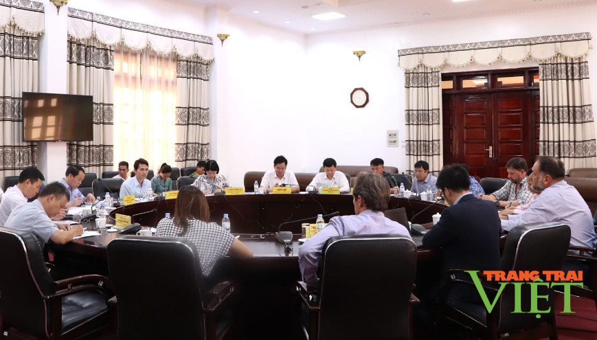 Tập đoàn PVW Resources Limited của Úc mong muốn hợp tác với Lai Châu trong lĩnh vực thăm dò, khai thác, chế biến khoáng sản - Ảnh 3. Tập đoàn PVW Resources Limited của Úc mong muốn hợp tác với Lai Châu trong lĩnh vực thăm dò, khai thác, chế biến khoáng sản - Ảnh 3.