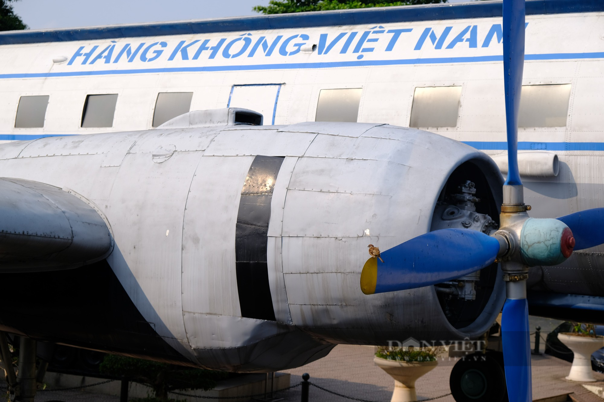 Chuyên cơ từng chở Chủ tịch Hồ Chí Minh trong những năm kháng chiến có gì đặc biệt? - Ảnh 8.