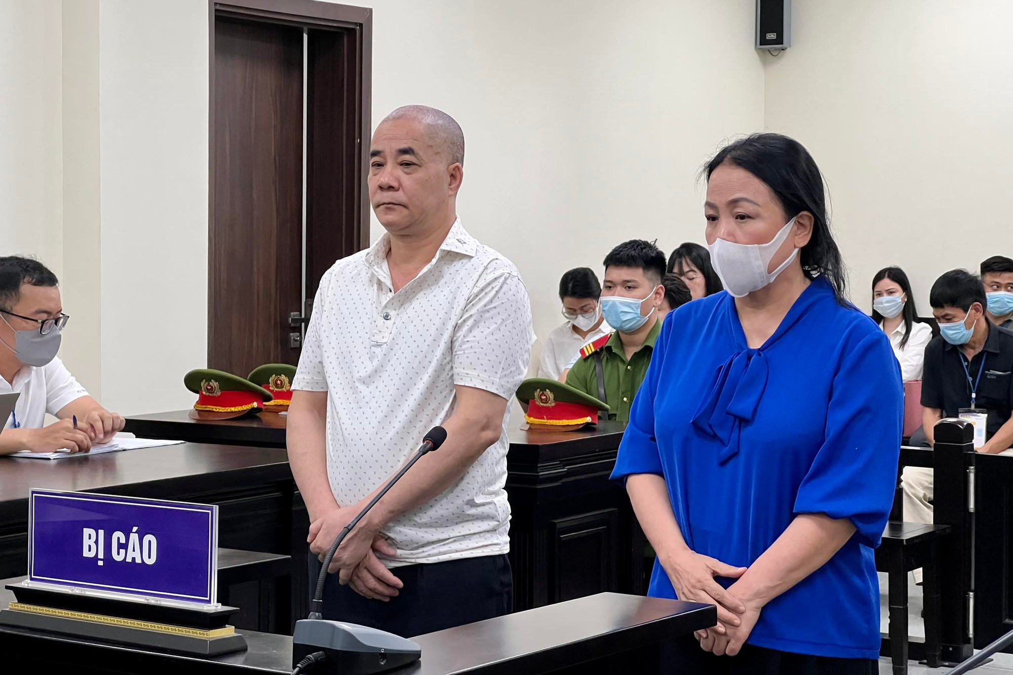 Vụ lừa chiếm &quot;đất vàng&quot; ở phố Bà Triệu: Cựu sếp Sở Tài nguyên và Môi trường lĩnh án - Ảnh 1.