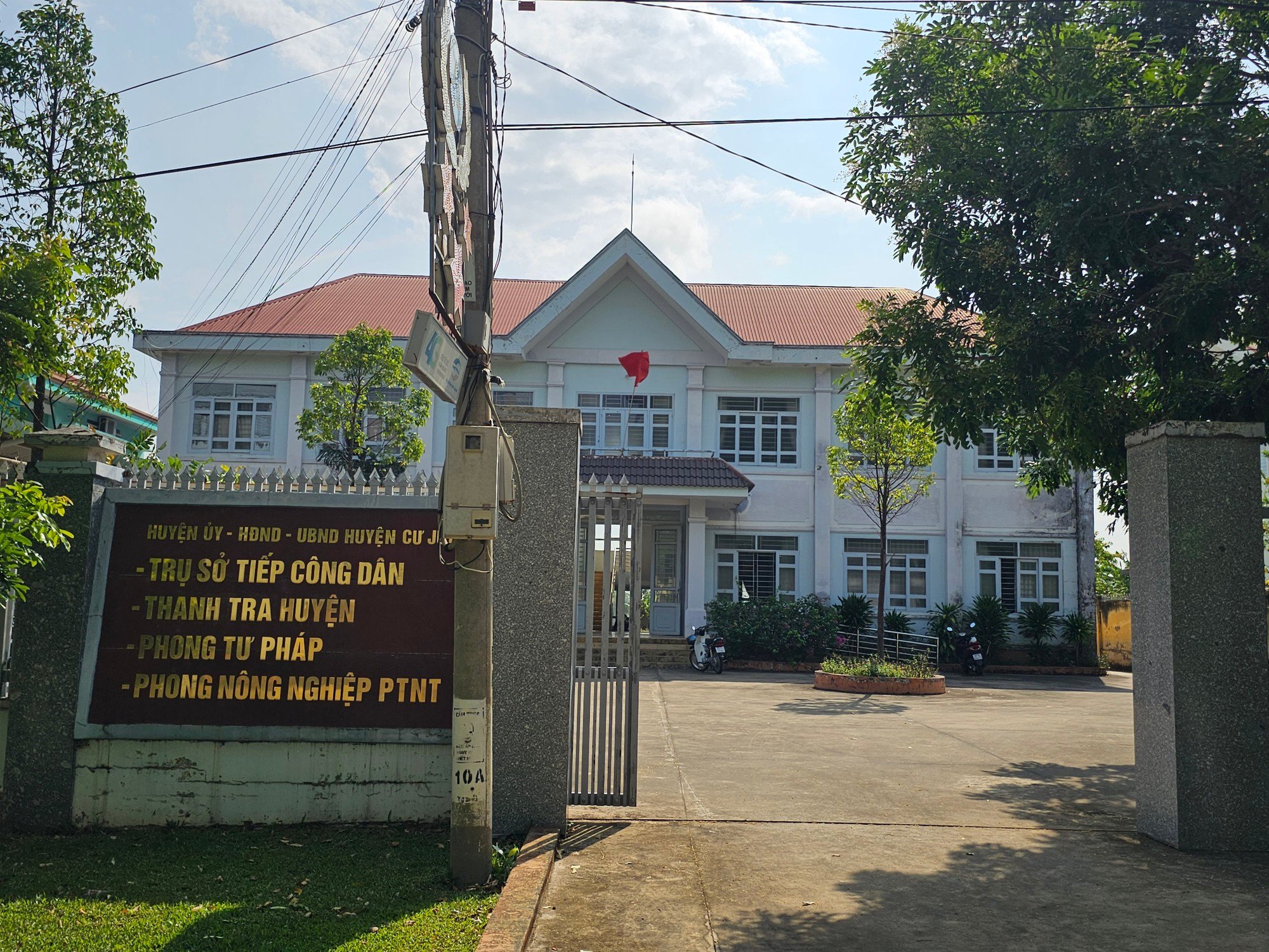 Vụ trưởng phòng Tư pháp ở Đắk Nông bị nghi trộm cây hoa giấy: Luật sư nói gì?  - Ảnh 1.