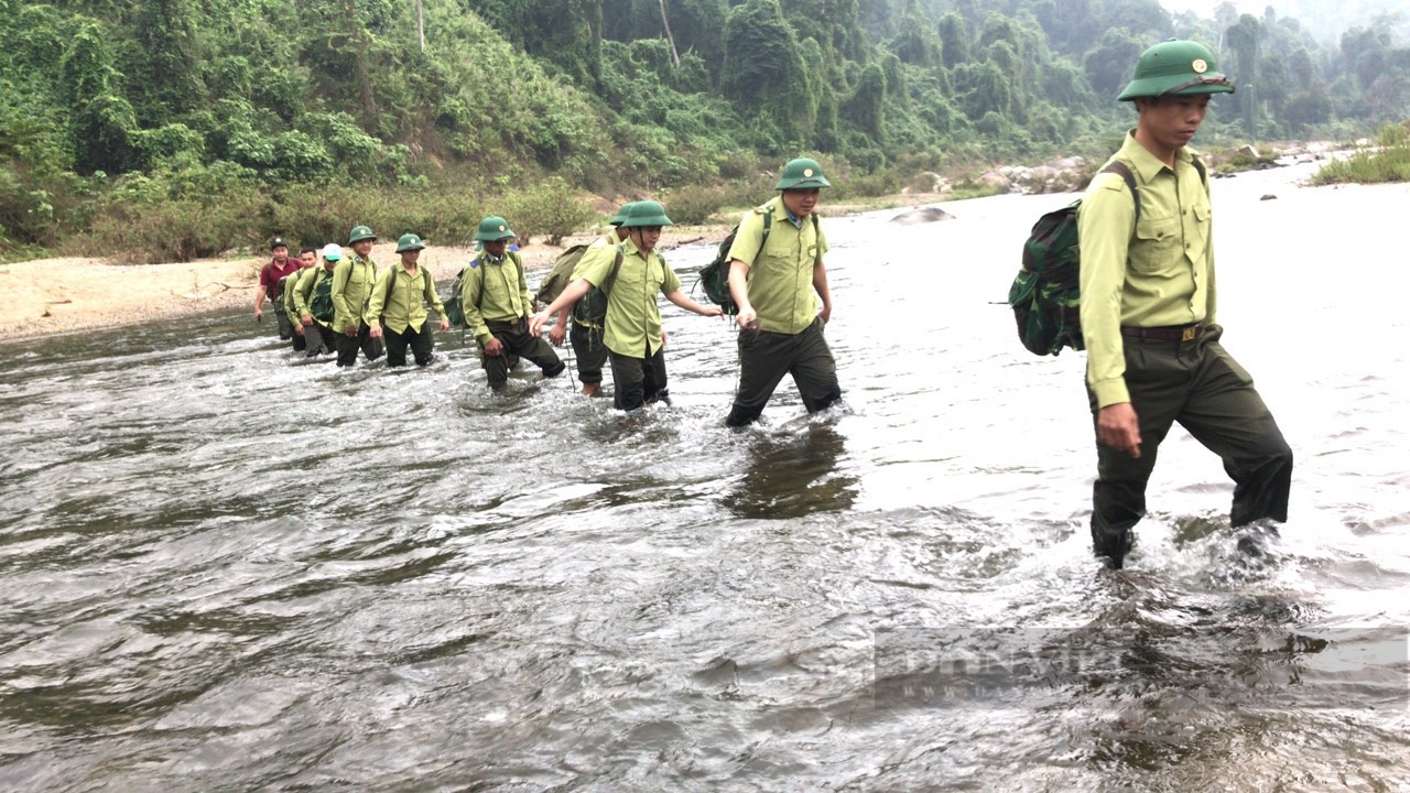 Bị Kiểm toán “tuýt còi”, Quảng Nam đề nghị bãi bỏ nghị quyết về hỗ trợ quản lý, bảo vệ rừng lưu vực thủy điện - Ảnh 2.