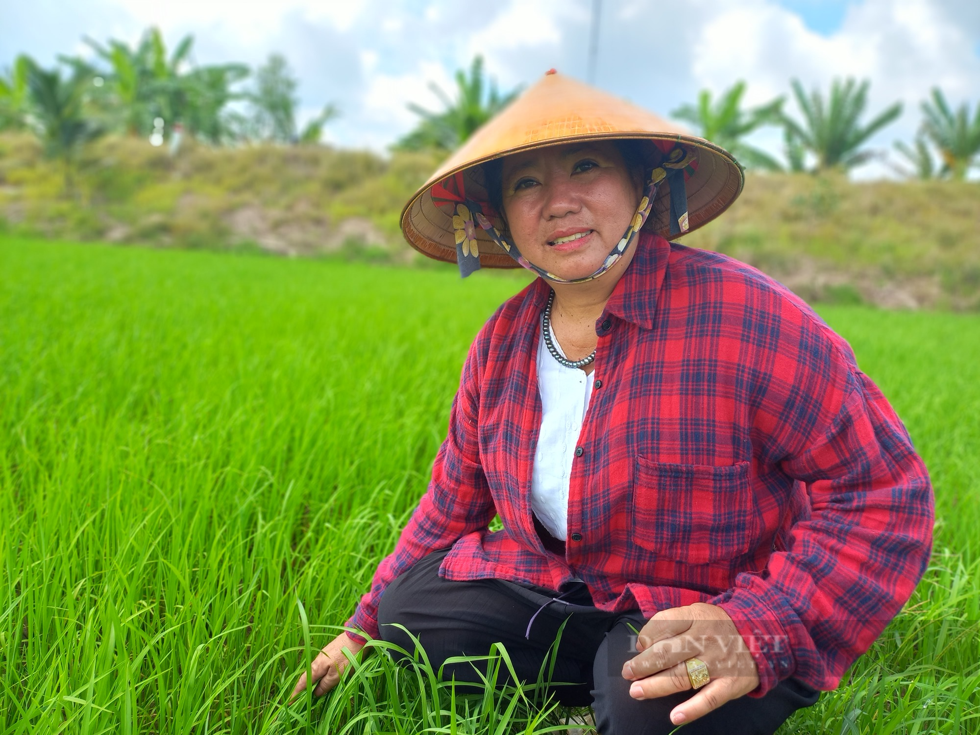 Từ trồng lúa trên bờ đến nuôi vịt trời dưới nước, làm món gì nông dân Long An cũng giàu to - Ảnh 1.