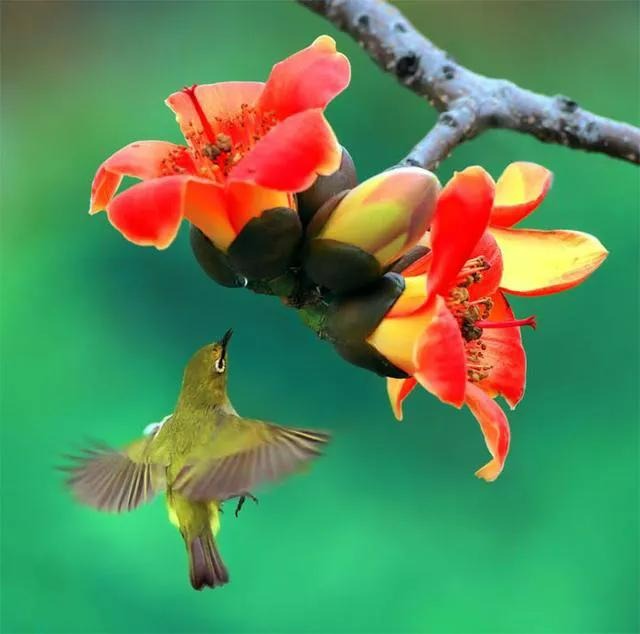 Khởi đầu thuận lợi, 4 con giáp thăng chức, tăng lương trong tháng 5, tương lai một đường thẳng tiến - Ảnh 4.