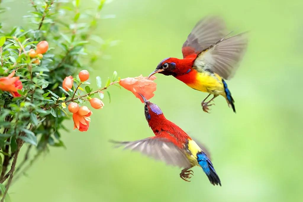 Khởi đầu thuận lợi, 4 con giáp thăng chức, tăng lương trong tháng 5, tương lai một đường thẳng tiến - Ảnh 3.
