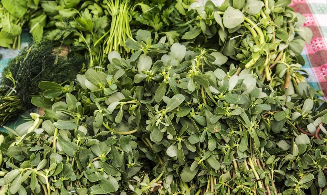 Loại rau dại mọc đầy bờ ruộng lại là &quot;vị thuốc trường thọ&quot;, vitamin dưỡng da, mùa hè ăn vừa mát vừa bổ - Ảnh 1.