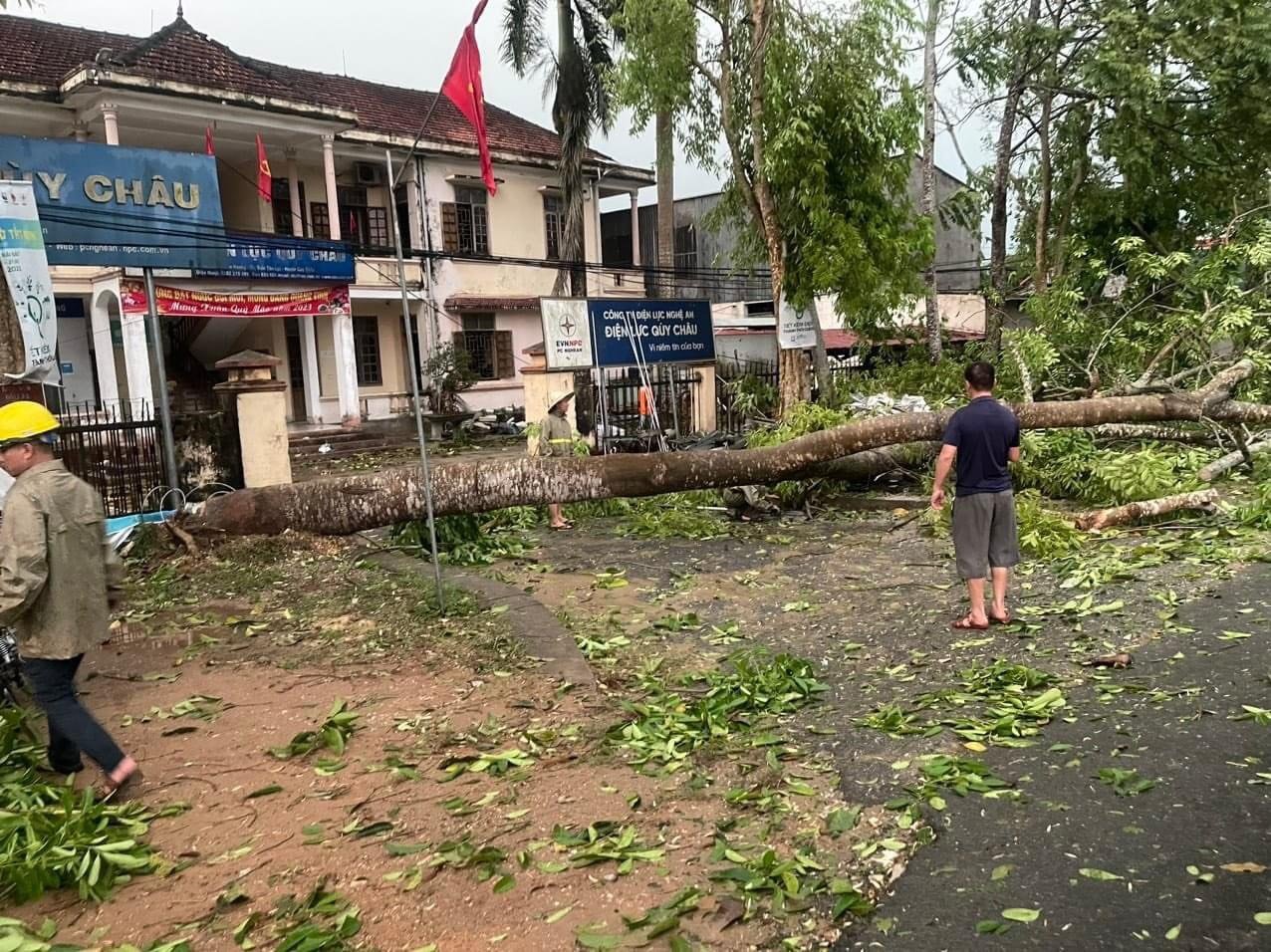 Nghệ An: Giông lốc tốc bay nhiều mái nhà, quật gãy trạm điện, cây cổ thụ - Ảnh 2.