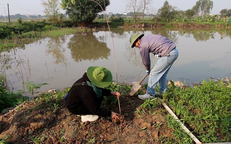 Bộ Ngoại giao lên tiếng về thông tin nhà hoạt động môi trường nổi tiếng Hoàng Thị Minh Hồng bị tạm giữ - Ảnh 1.