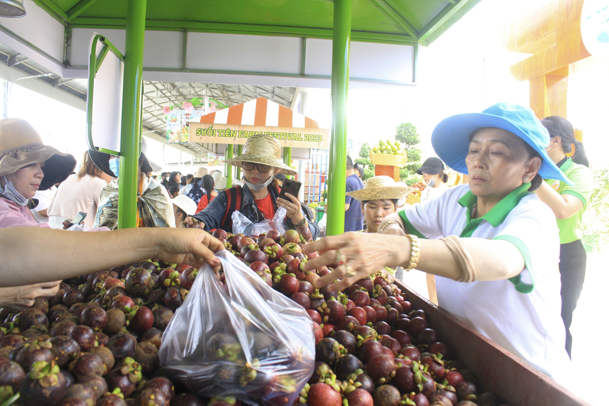 Sầu riêng, măng cụt, vải thiều siêu rẻ ở Lễ hội Trái cây Nam Bộ, hàng lên không kịp bán - Ảnh 3.