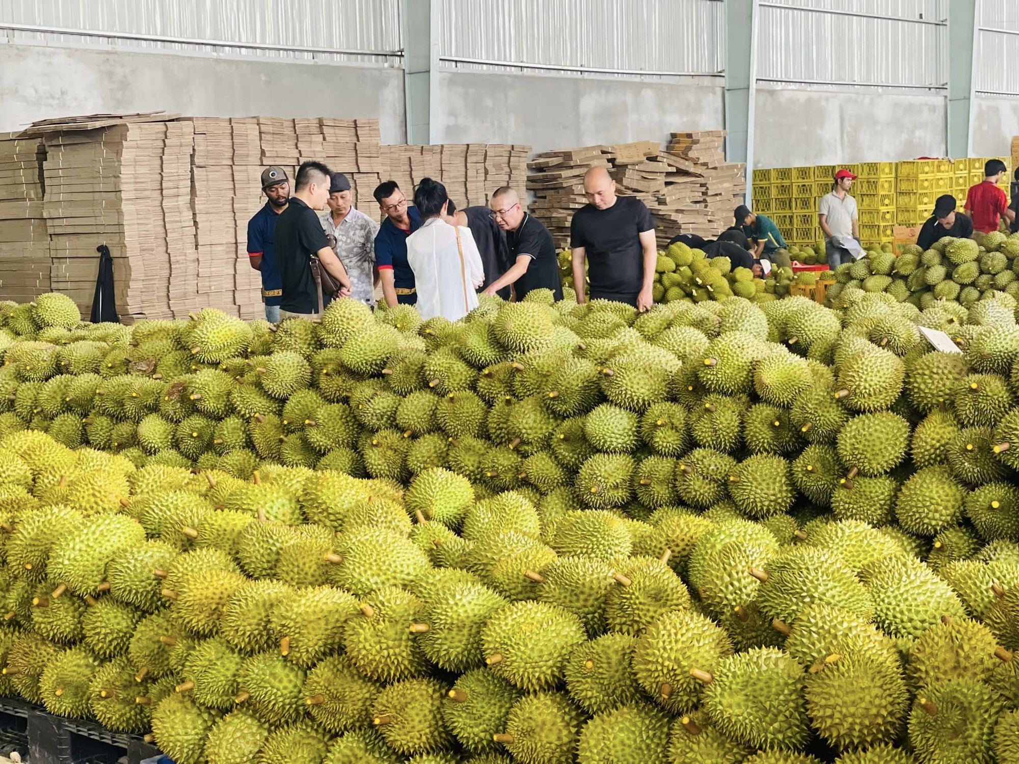 Sầu riêng, măng cụt, thanh long... đổ về cửa khẩu Lạng Sơn, Thủ tướng yêu cầu cấp bách ngăn ùn ứ giữa nắng nóng - Ảnh 1.