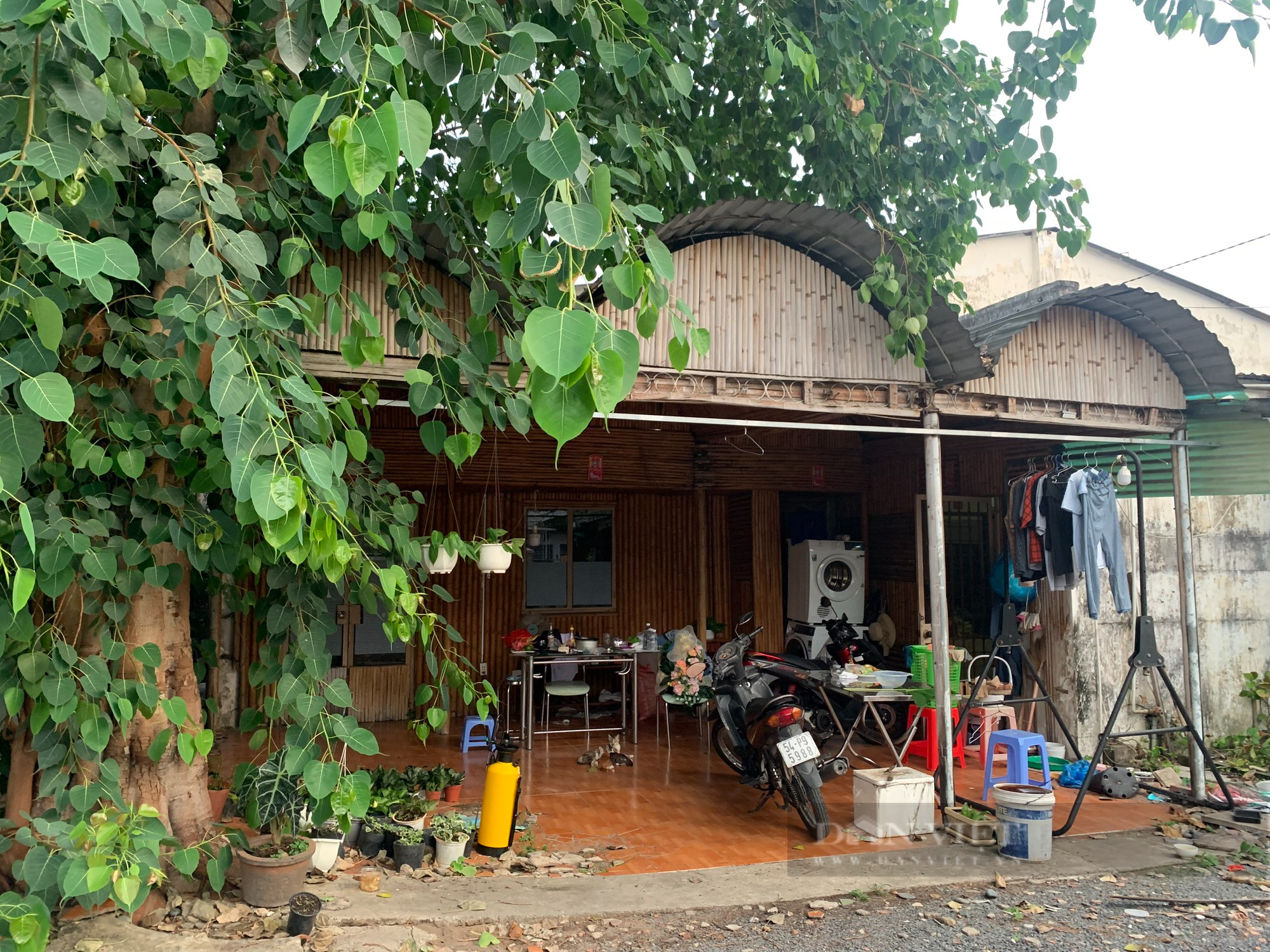 Dùng giấy tờ nhà đảm bảo để vay tiền, người phụ nữ suýt mất nhà hơn 12 tỷ đồng - Ảnh 2.