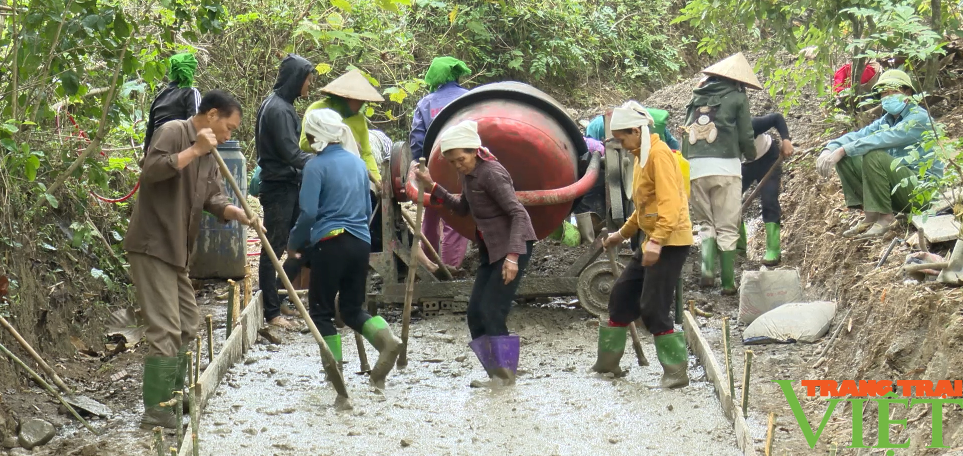 Hội Nông dân huyện Phù Yên (Sơn La) - Một nhiệm kỳ nhìn lại - Ảnh 5.