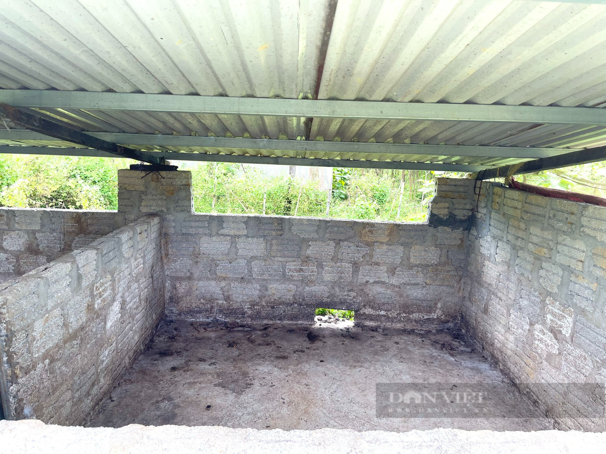 Quảng Bình: Dân vay tiền xây chuồng lợn vì nghe nói hỗ trợ giống - Ảnh 4.