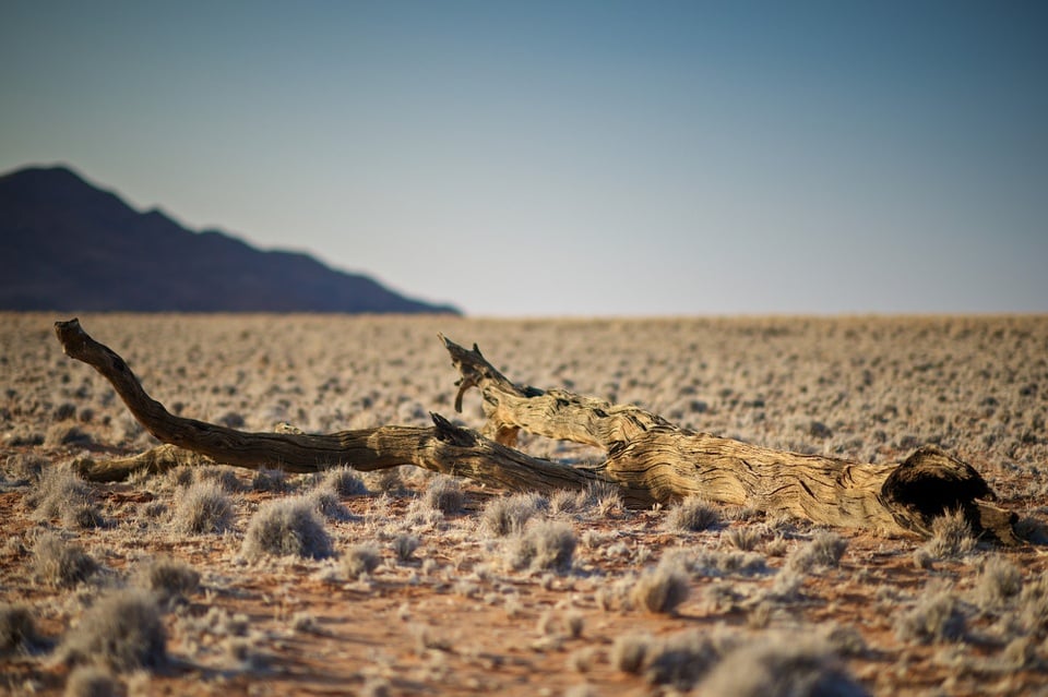Những sự thật cực kỳ thú vị về sa mạc Sahara ít ai biết - Ảnh 4.