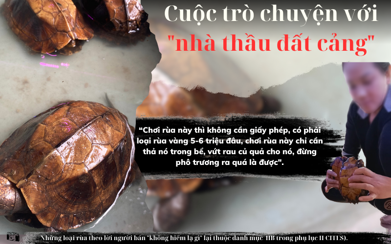 Loài động vật hoang dã bị buôn bán nhiều nhất Việt Nam - Ảnh 4.